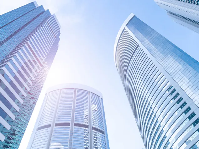 Company Profile