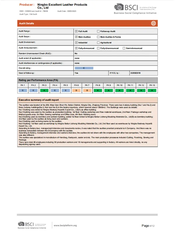 bsci summary audit report 2025