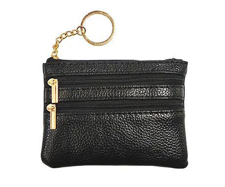Coin and Card Purse 1700 01