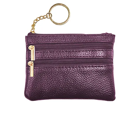 Coin and Card Purse 1700 01